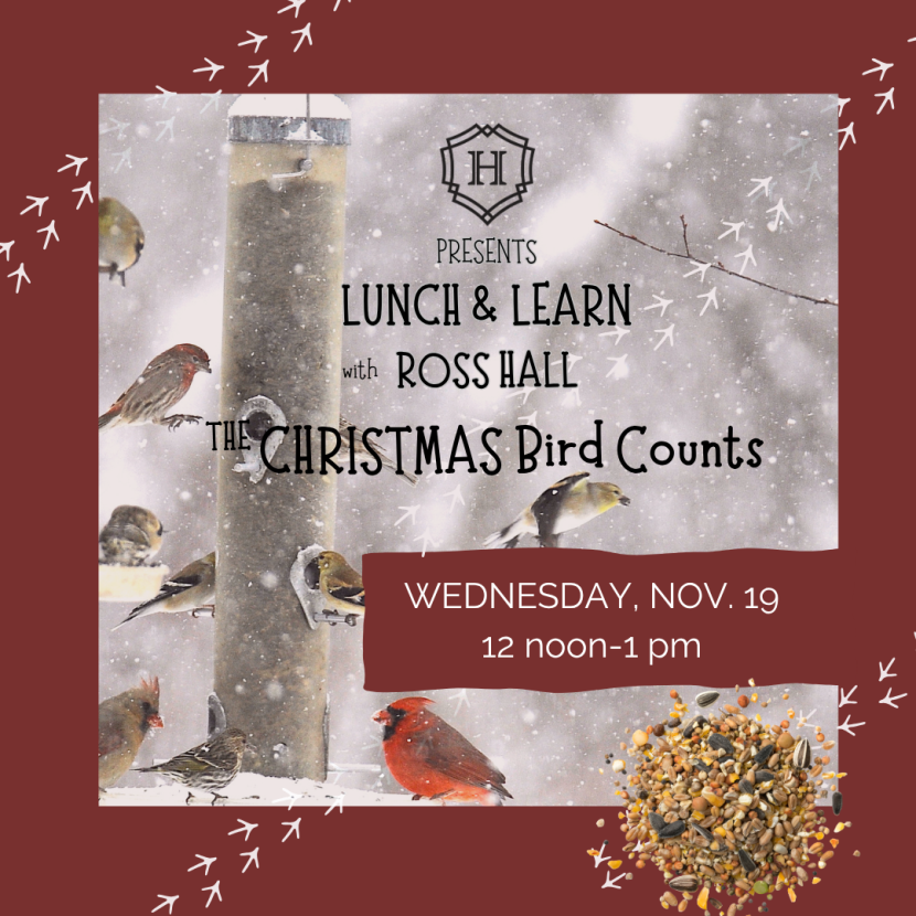 Colchester Historeum